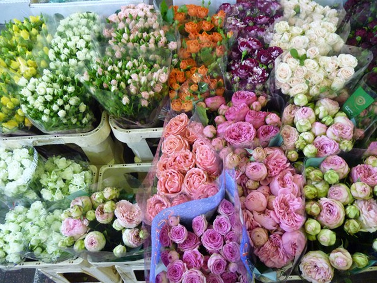 Bouquet floral